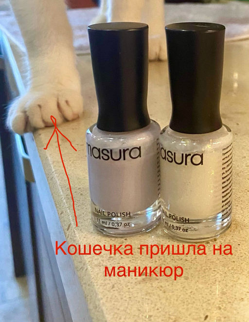 Лак для ногтей Снежные Купола, 11 мл - Masura фото 8