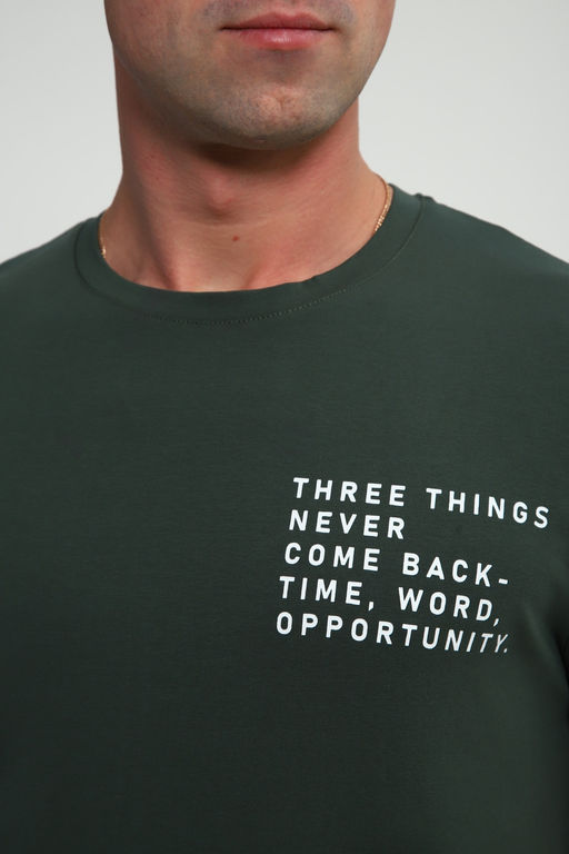 Футболка мужская 052