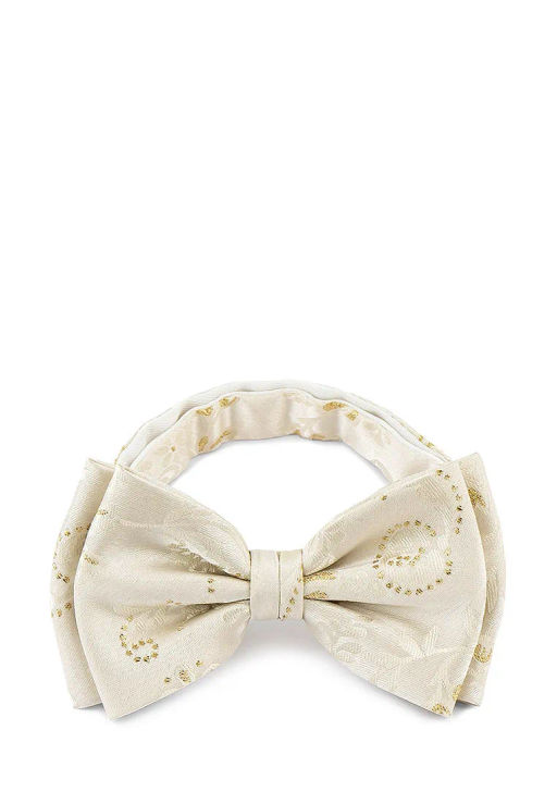 Галстук-бабочка мужской CASINO Casino-poly-wedding 512.1.524