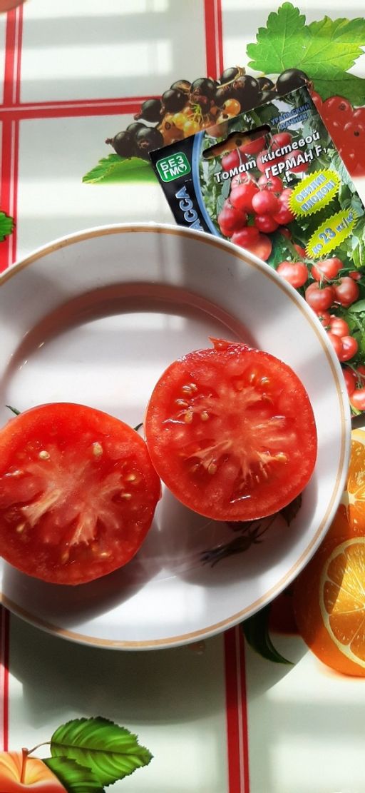 Томат ГЕРМАН F1 - Уральский дачник фото 10