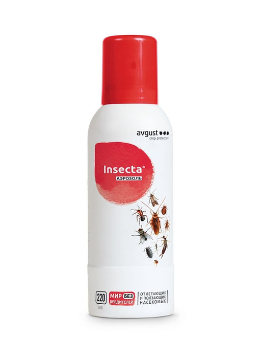 Август INSECTA (инсекта) аэрозоль 100 мл (16 шт./упак.)