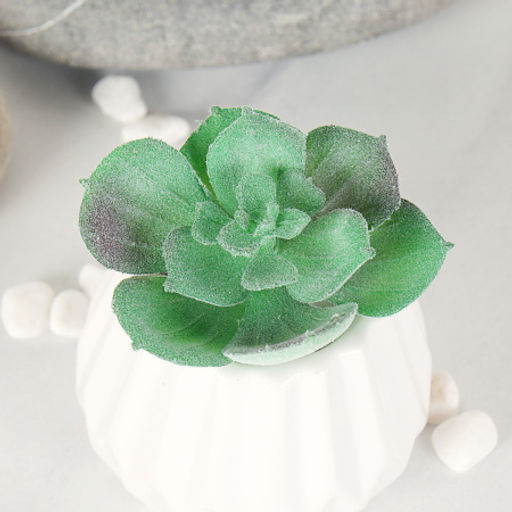 Суккулент искусственный 5,5х6,5 см / GN112 /уп 100/ - Галеонтрейд фото 4