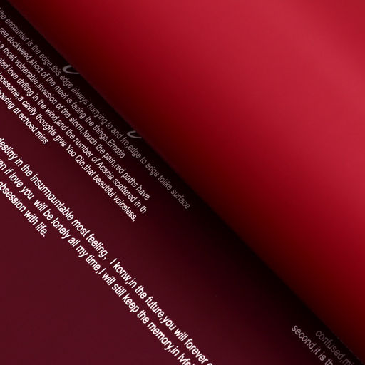 Цена за 20 шт. Пленка матовая для цветов Новости Love, бургунди/вишня, 60 х 60 см - UPAK LAND фото 9