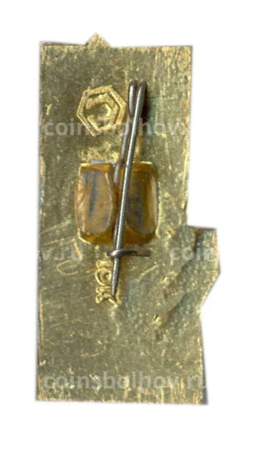 Значок Троицкая башня