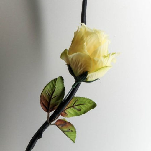 Сухоцвет набор 5 штук 155 см Роза бежевый / 1810-18 /уп 33/ - Галеонтрейд фото 2