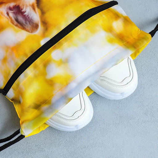 Сумка для обуви Забавный корги, 2 секции, 41х31 см - Artfox study фото 6