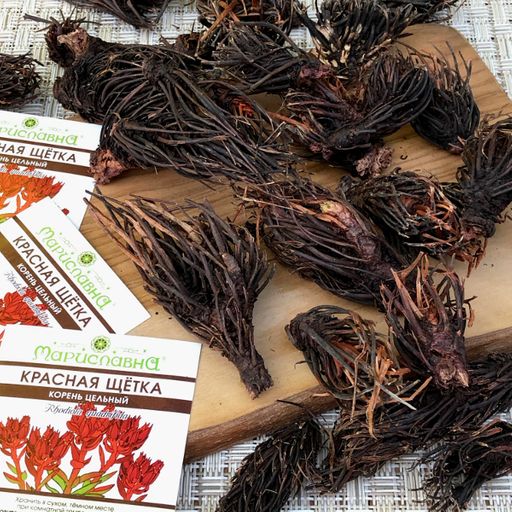 Красная щётка в фильтр-пакетах