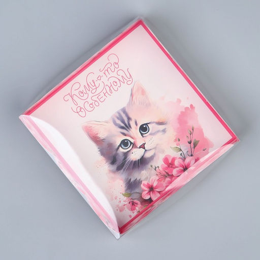 Цена за 5 шт. Коробка для печенья, кондитерская упаковка с PVC крышкой, «Котёнок», 10.5 х 10.5 х 3 см