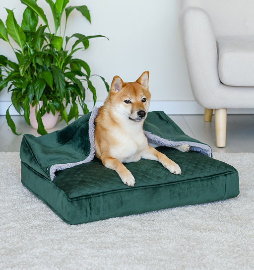 ВИА Лежак-норка "Rivoli", прямоугольный, со съемным чехлом, 70х50см, изумрудный 56та89 Не заказывать