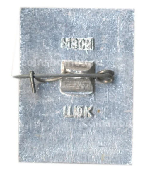 Значок Рыбинск