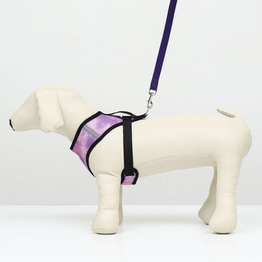 Комплект для собак 5-8 кг, размер M, поводок 120 х 1,5 см, ОШ 30 см, ОГ 39 см - Пижон фото 2