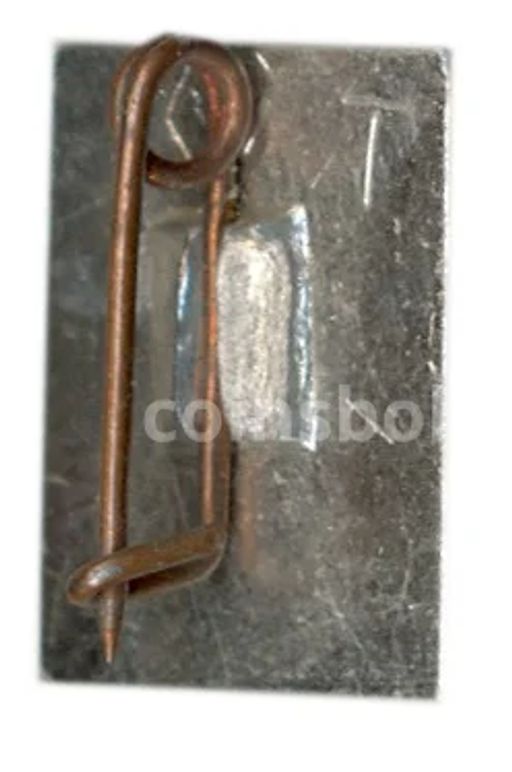 Значок ВДНХ СССР