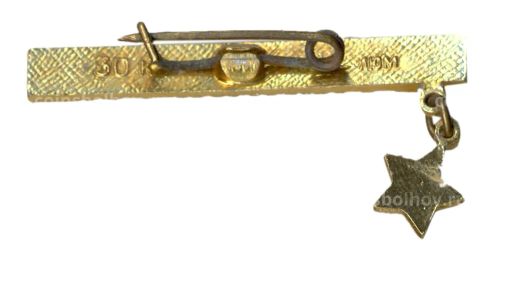 Значок Ленинград