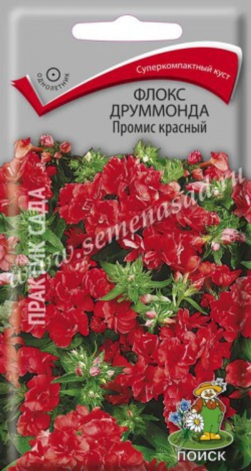 Флокс друммонда Промис красный (ЦВ) ("1) 10шт.