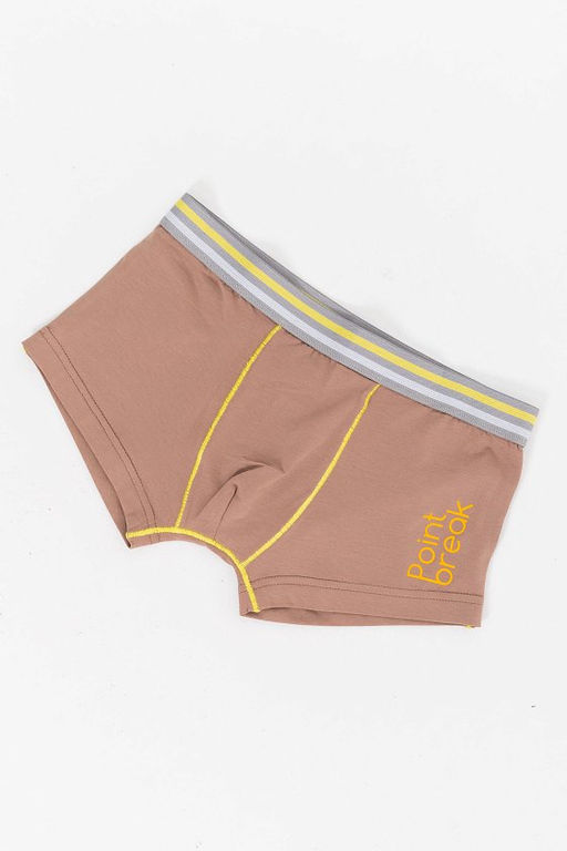 Боксеры М224064Па Коричневый