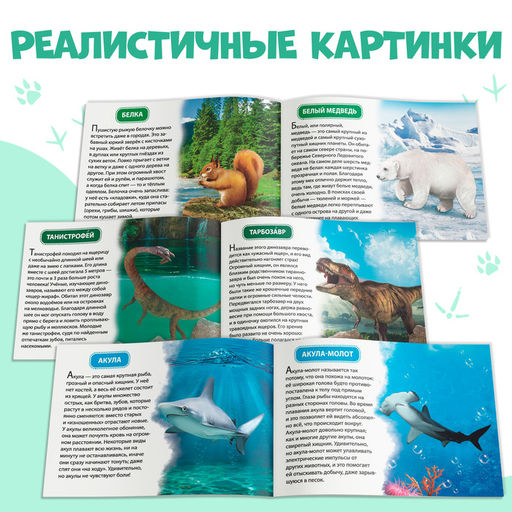 Обучающие книжки набор 6 шт. Узнаём про всё вокруг, 108 животных и птиц - Буква-Ленд фото 9