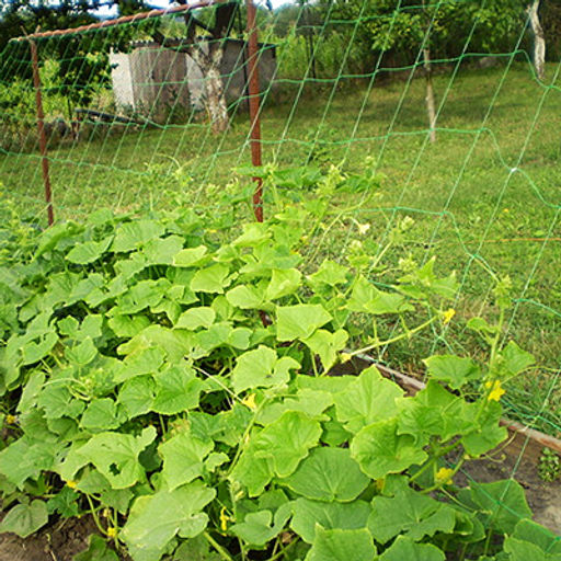 Шпалерная сетка для вьющихся растений и огурцов 2х3м (Россия) - Домашняя Мода фото 4