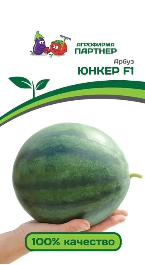 Арбуз Юнкер