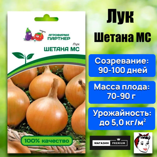 Лук репчатый Шетана МС - Партнер фото 9