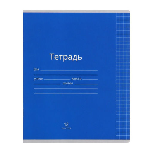 Комплект тетрадей из 10 штук, 12 листов в клетку Calligrata Однотонная Классика яркая, обложка мелованная бумага, ВД-лак, блок офсет  фото 7