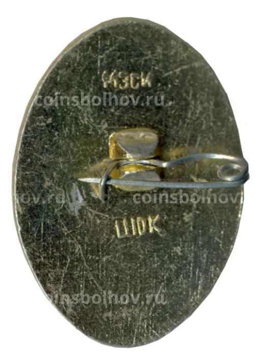 Значок Усадьба Кусково