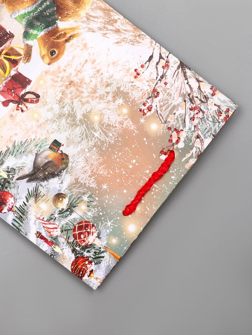 Цена за 2 шт. Пакет подарочный новогодний ламинированный, «Зверята ждут Новый Год », 18×10×22.3 см