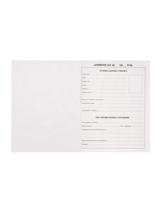 Дневник школьный для 5-11 классов, «Ананас. НЕОН вывеска», твёрдая обложка 7БЦ, матовая ламинация, выборочный лак, 48 листов