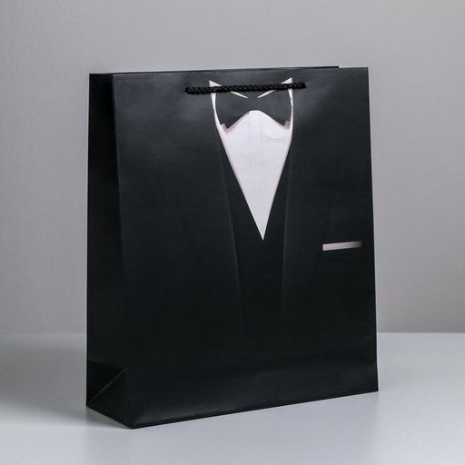 Цена за 2 шт. Пакет подарочный ламинированный, упаковка, «Стиль», M 25.5 х 30 х 9 см