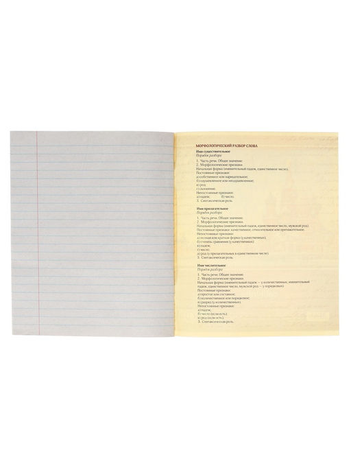 Тетрадь предметная Металл, 48 листов в линейку Русский язык со справочным материалом, обложка мелованный картон, блок №2, белизна 75% (серые листы) - Calligrata фото 9