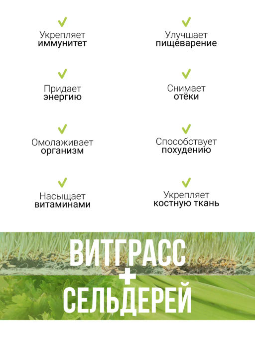Витграсс + Сельдерей 100г (Состав: порошок из молодых зеленых ростков пшеницы, порошок сельдерея)