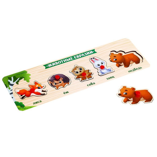 Рамка - вкладыш «Животные Евразии», 5 вкладышей