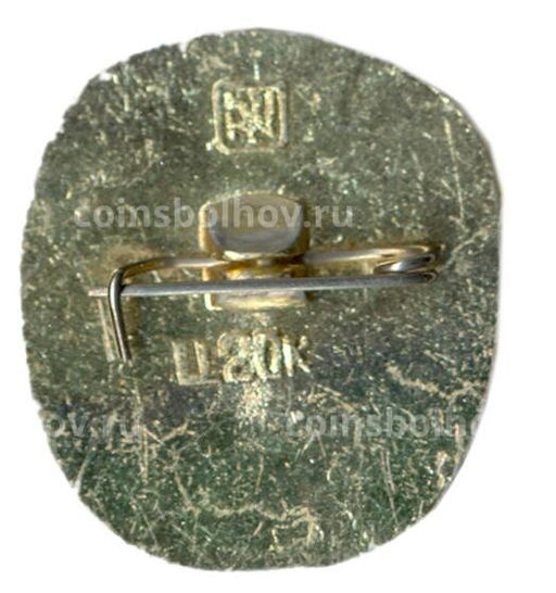 Значок Торопец