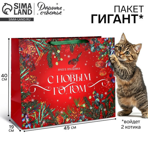 Пакет подарочный новогодний ламинированный «С Новым годом», XL 49×40×19 см