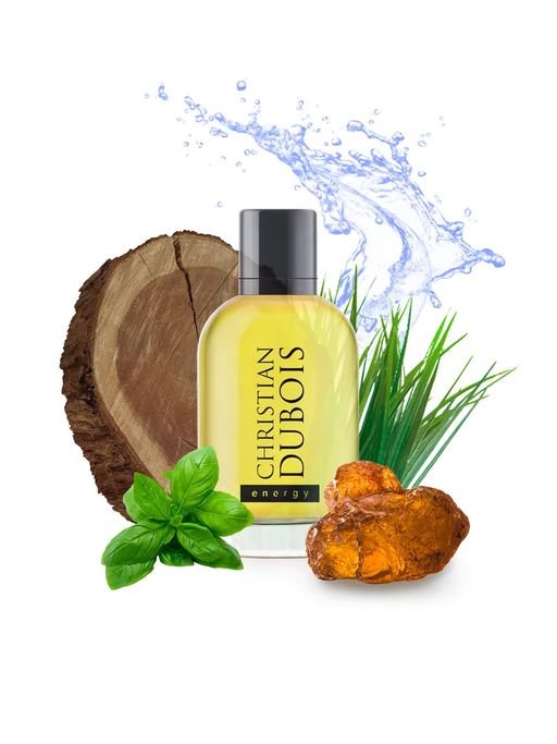 Dilis CHRISTIAN DUBOIS Energy Туалетная вода для мужчин 100 мл  фото 3