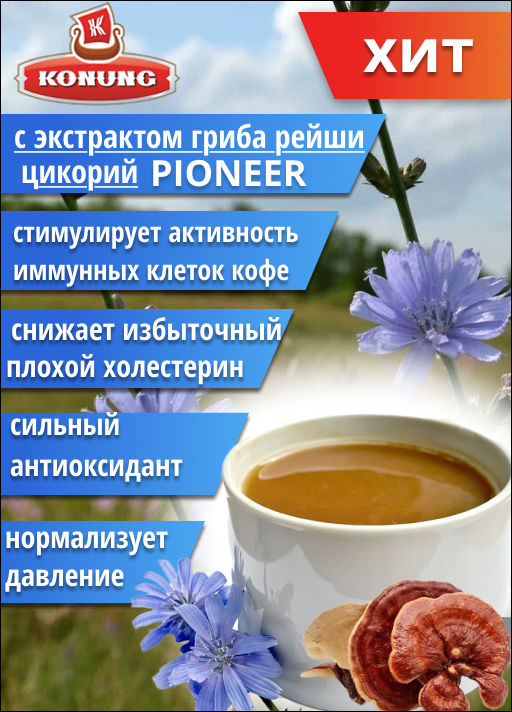 Цикорий PIONEER с экстрактом гриба рейши