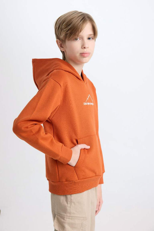 Толстовка обычного кроя с капюшоном и принтом на спине для мальчиков с вышивкой - Defacto фото 6