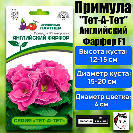 Примула махровая Тет-А-Тет Английский Фарфор - Партнер фото 2