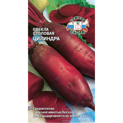 Свекла Цилиндра 3г (СеДеК)