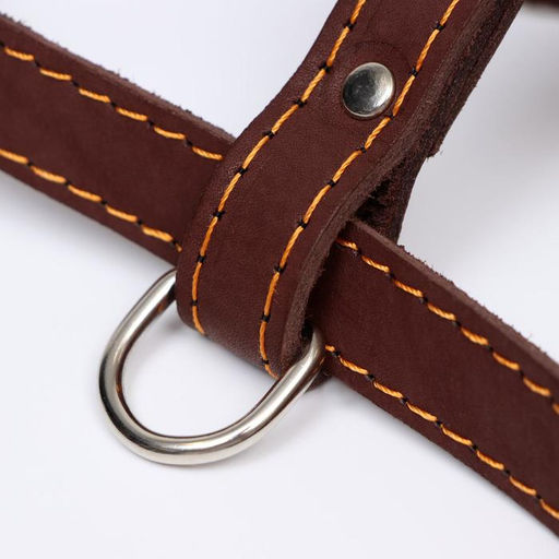 Шлейка кожаная Прогулочная, 2 см, ОШ 46-58 см, ОГ 78-85 см, коричневая - Пижон фото 4