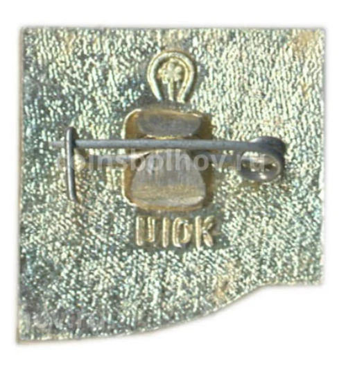 Значок Суздаль Рождественский собор XII век