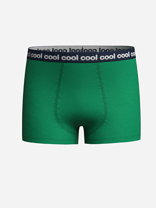 Bask?l? Erkek ?ocuk Boxer 3l? - Waikiki фото 3