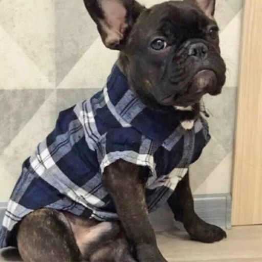 Кофта - рубашка фланелевая для мелких пород собак и кошек "BRO Style", цвет черный, р 2XL