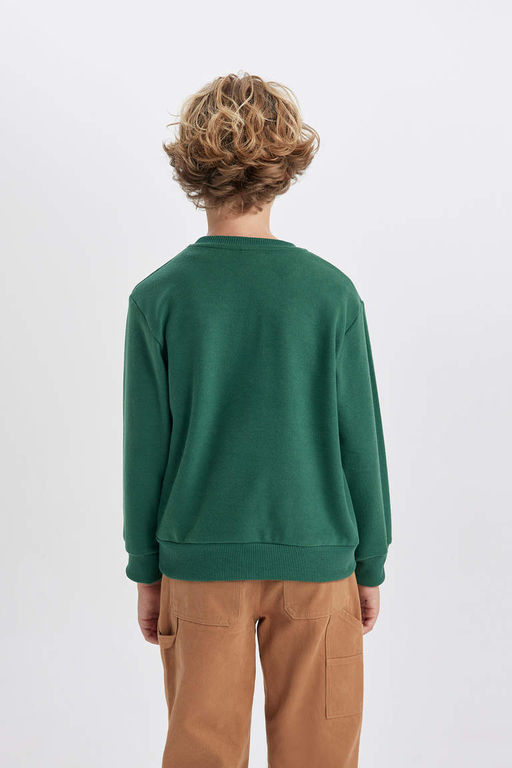 Толстовка из ткани Selanik с круглым вырезом для мальчиков - Defacto фото 7