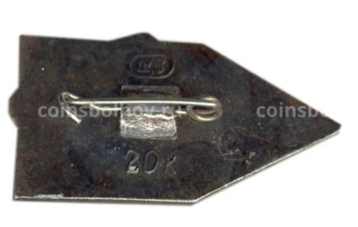 Значок Псков