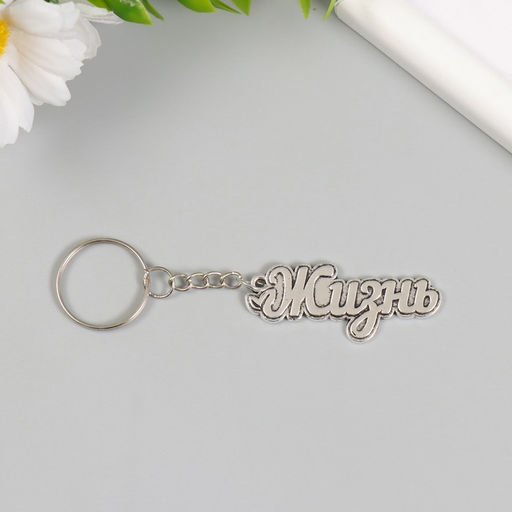 Цена за 12 шт. Брелок для ключей на кольце «Жизнь. Росток», металл, 2×5 см