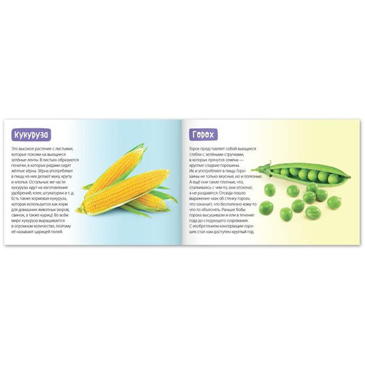 Обучающие книги набор Про всё на свете 6 шт. по 20 стр. - Буква-ленд фото 3