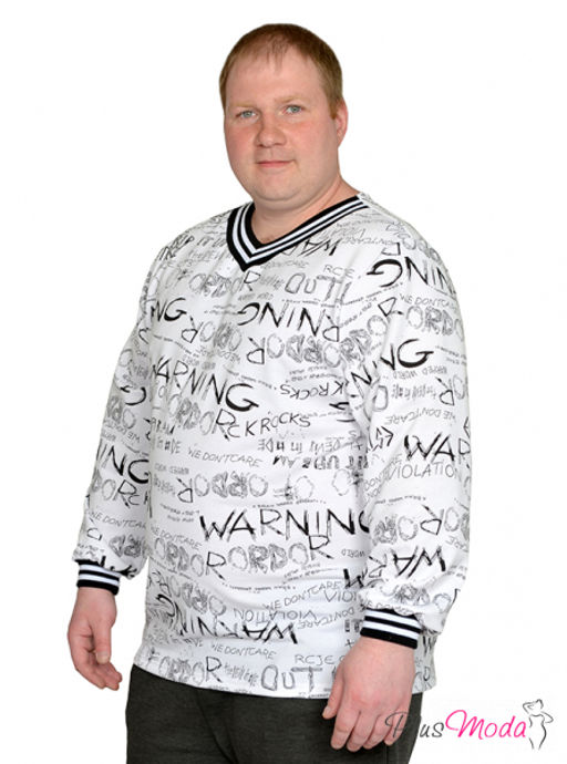 Толстовка Модель №1923 размеры 44-84