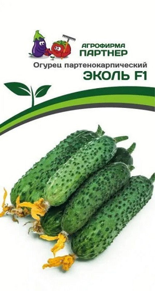 3105P Огурец ЭКОЛЬ F1 5шт