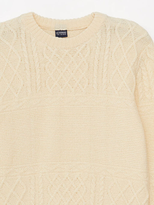 Bisiklet Yaka Uzun Kollu Erkek Triko Kazak - Waikiki фото 3