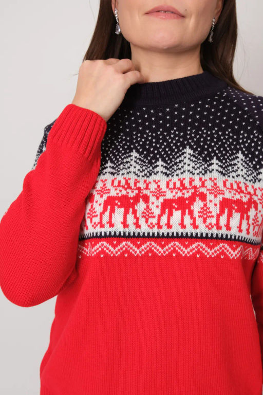 Джемпер С 849/ красно-синий